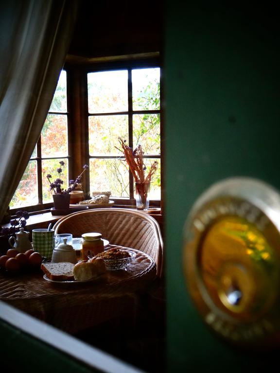 Arden Country House Waitati Esterno foto