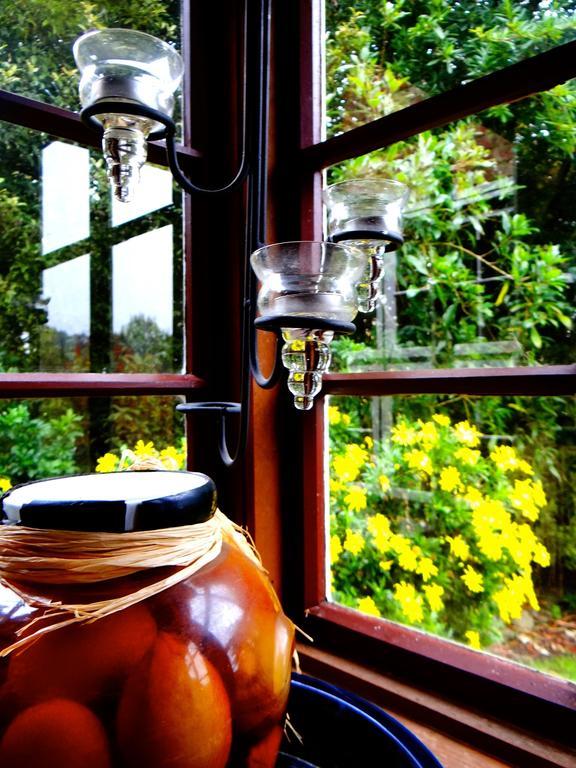 Arden Country House Waitati Esterno foto
