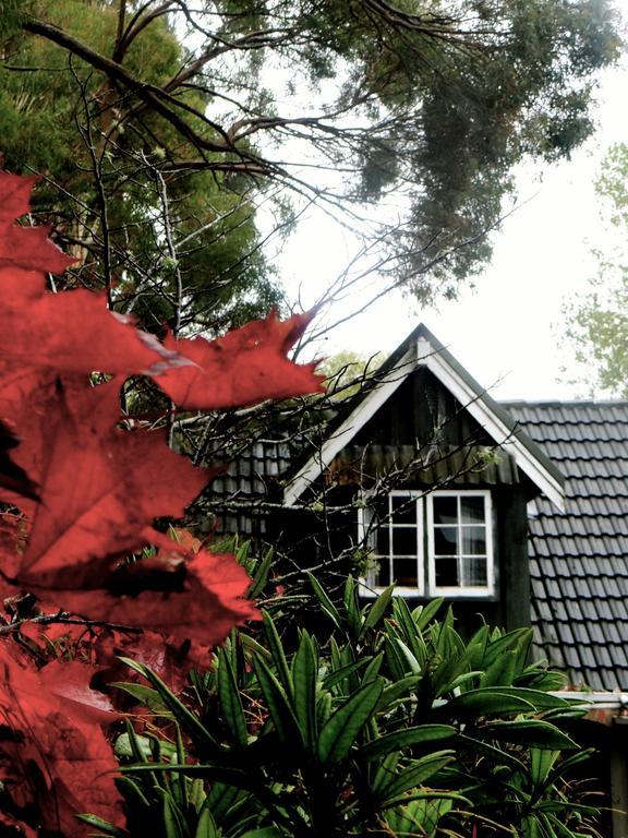Arden Country House Waitati Esterno foto