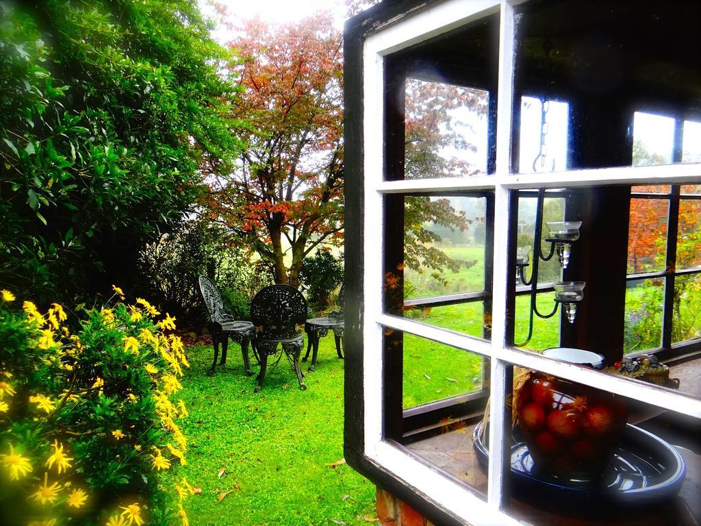 Arden Country House Waitati Esterno foto
