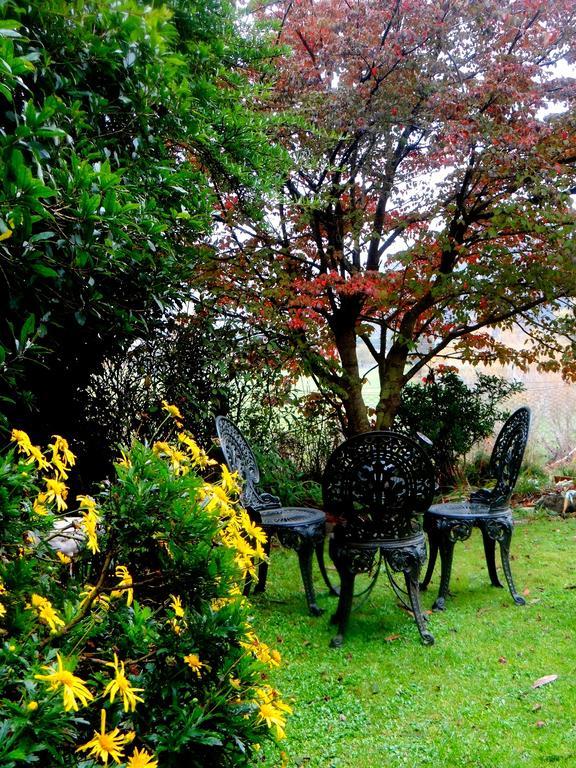 Arden Country House Waitati Esterno foto