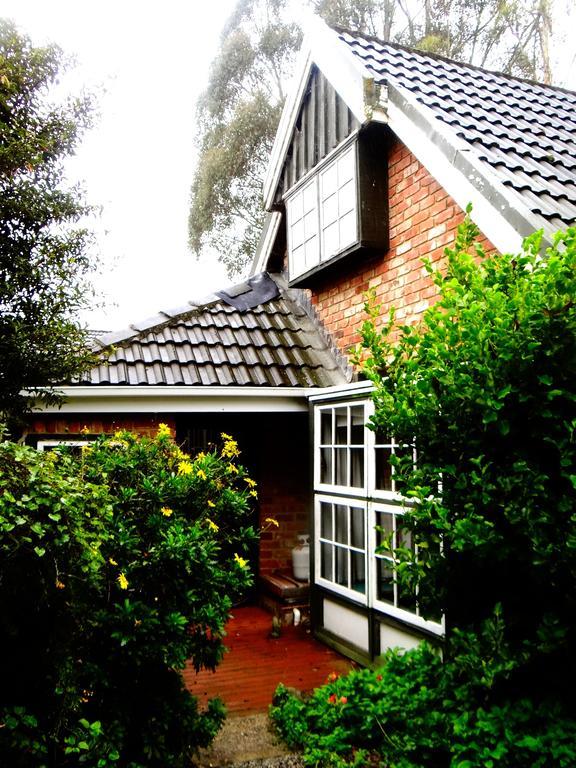 Arden Country House Waitati Esterno foto